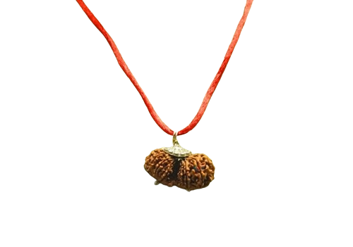 Garbh Gauri Nepali Rudraksha with Red Thread