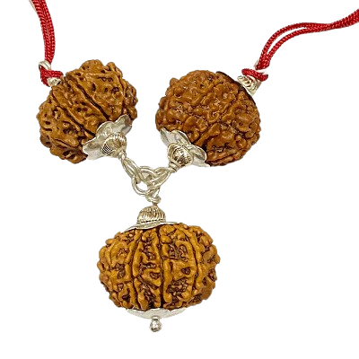 Kaal Sarp Dosh Nivaran Rudraksha Kawach