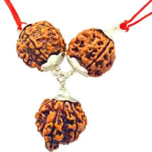 Saraswati Rudraksha Kavach For Career & Studies