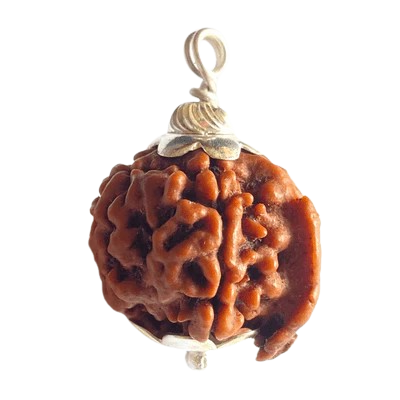 Ganesh Mukhi Nepali Rudraksha